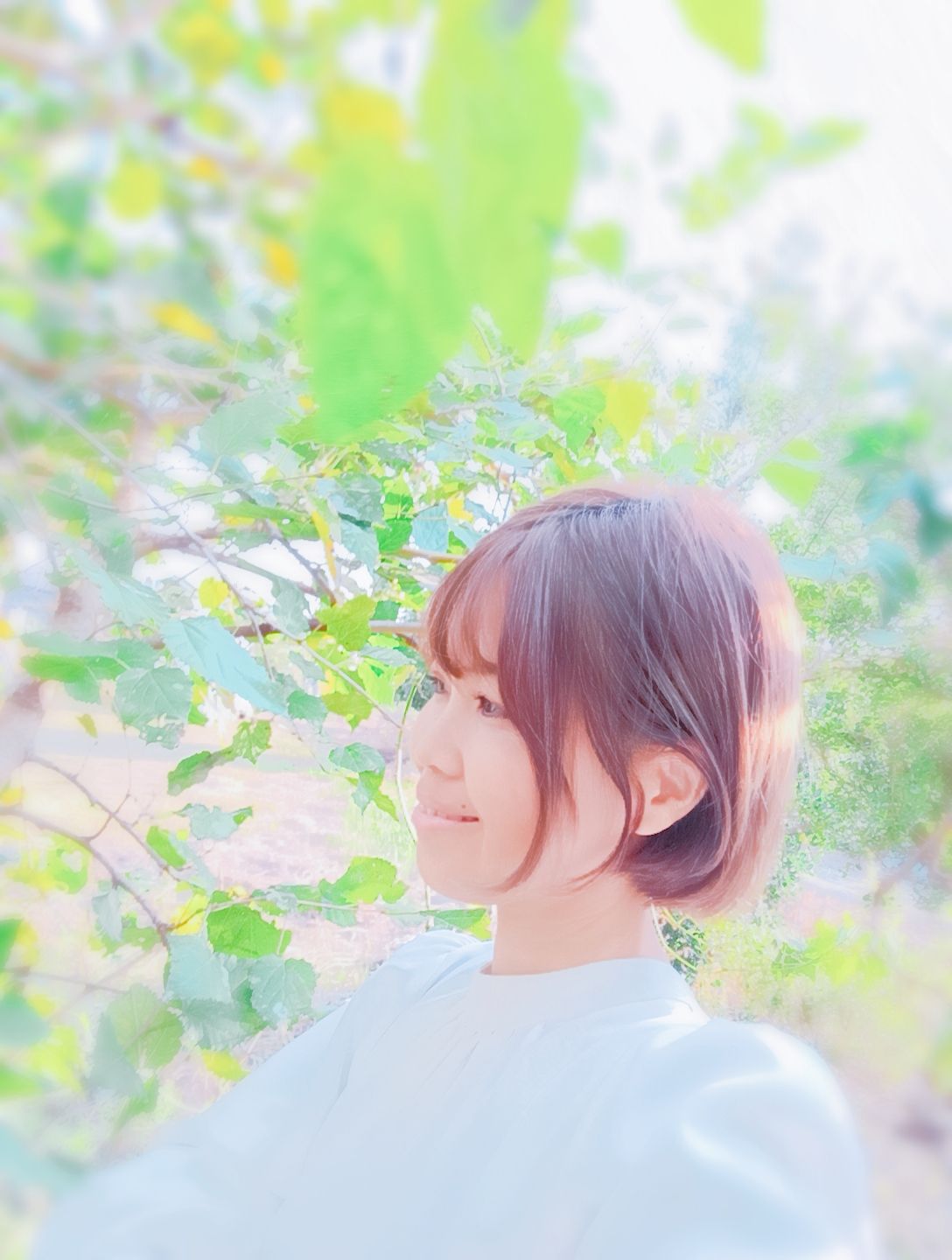 電話占い スキミル 美緒先生